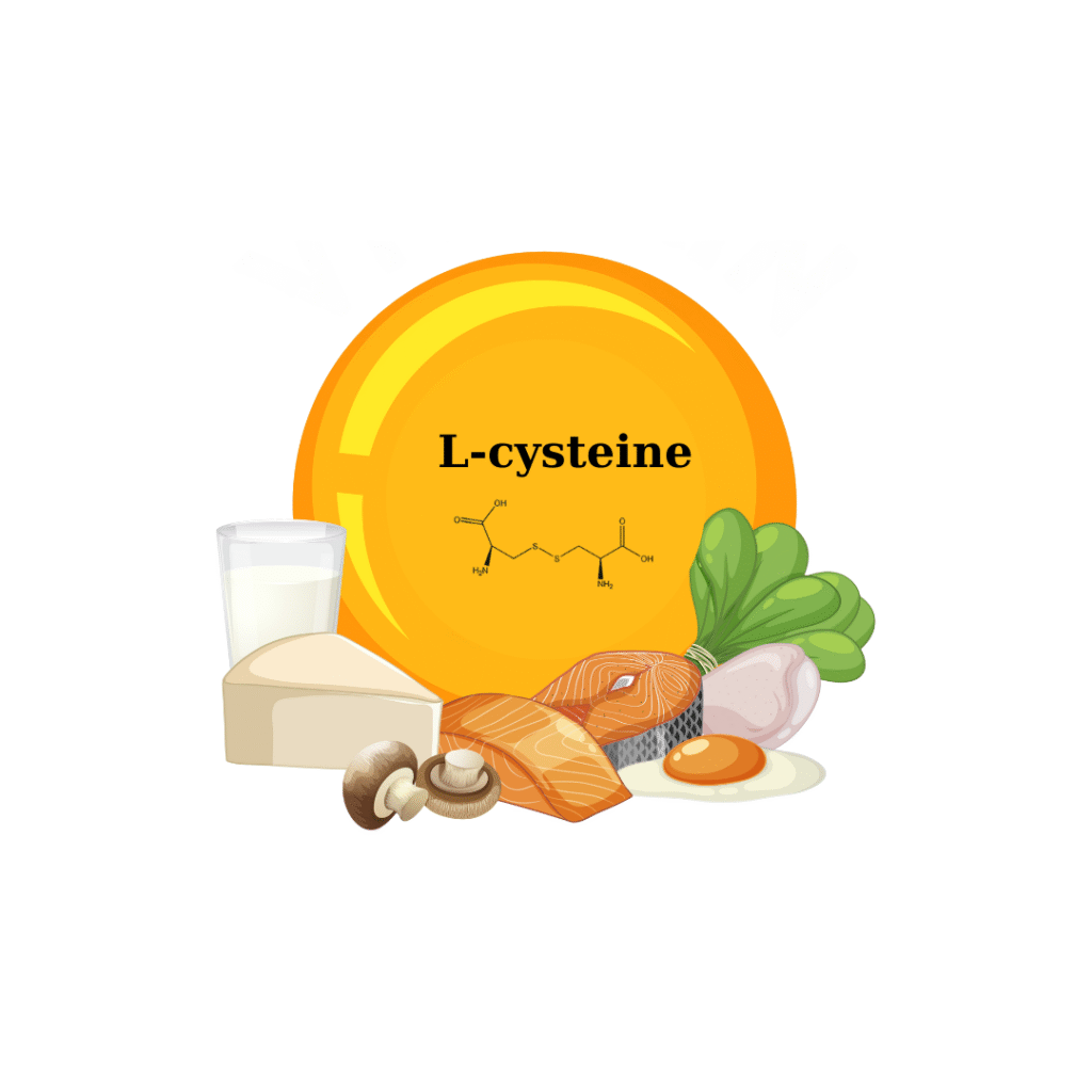 Vai-tro-cua-L-Cystine